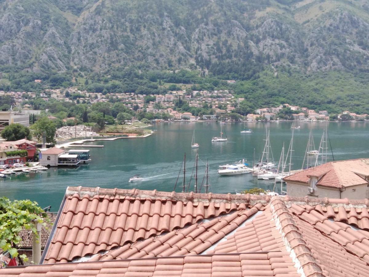 New Renovated Old Town Martiva Apartment Kotor Exterior foto